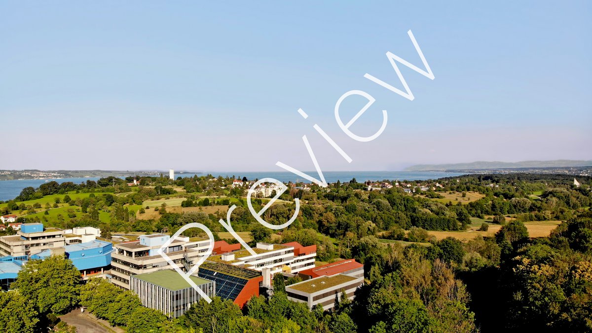 Aerial view of the university and lake in the background (with "Preview" watermark) 