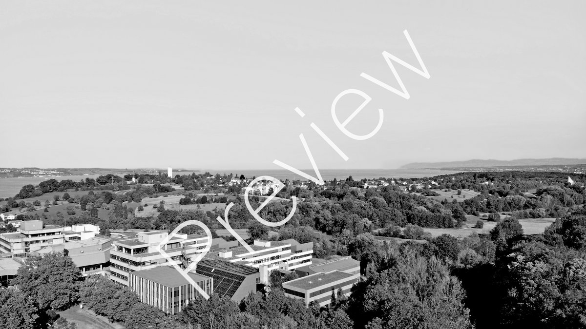 Aerial view of the university and lake in the background (with "Preview" watermark) Black and white