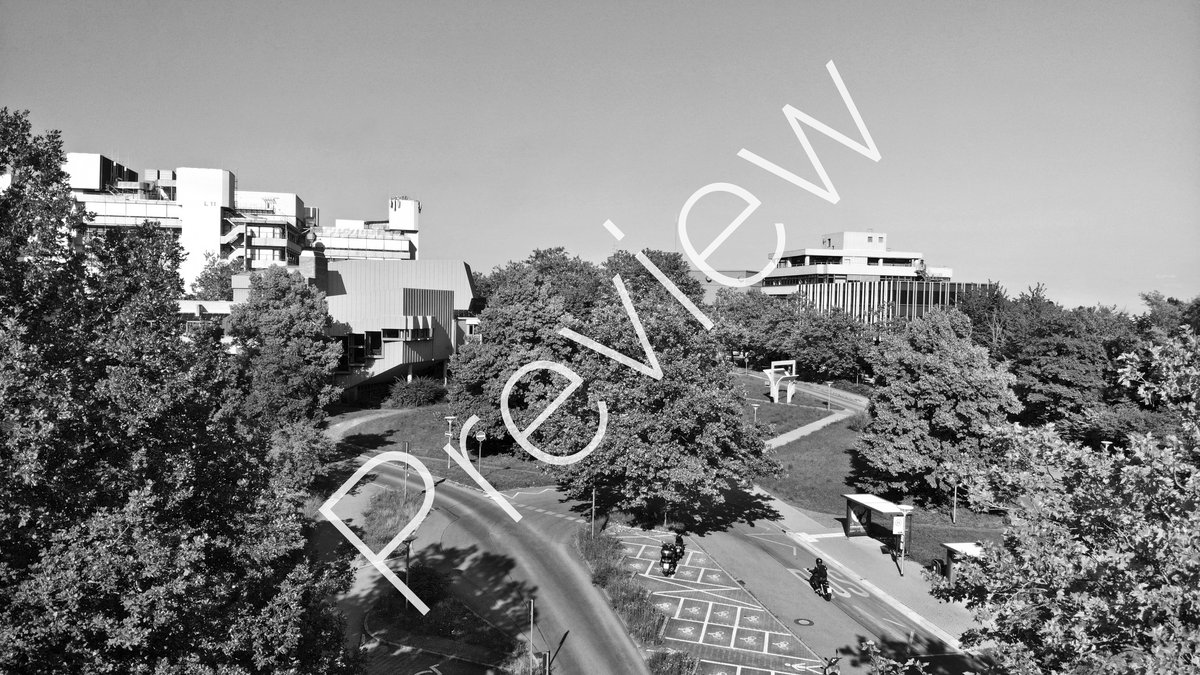 Aerial view of the university (with "Preview" watermark) Black and white