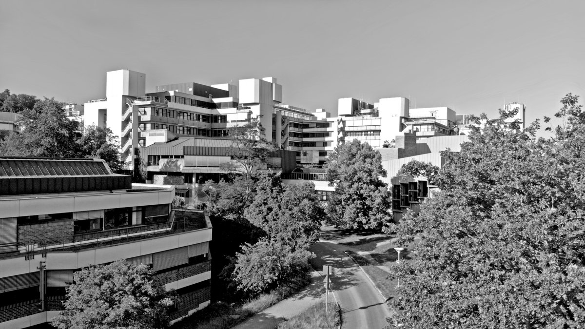 Aerial view (buildings W,N,R,M,L) Black and white