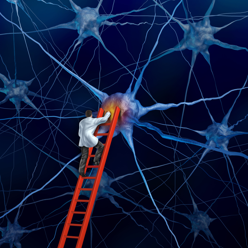 Ein Wissenschaftler steigt mit einer Leiter im Nervensystem herum